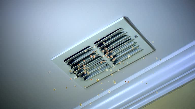 Affordable HVAC Duct Cleaning in Hillandale, MD