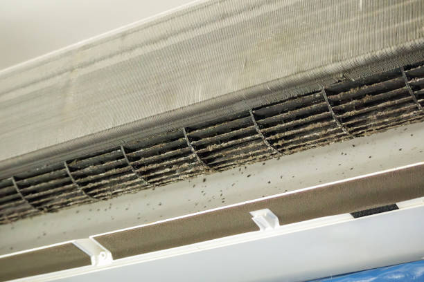 Best Ventilation Cleaning Services  in Hillandale, MD